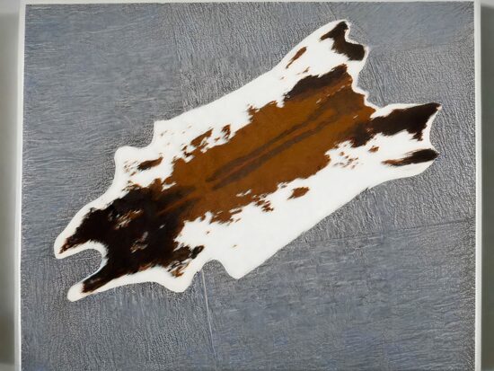 tapis peau de chèvre sur sol gris foncé