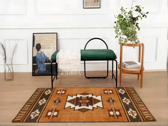 Tapis indien style indigène devant une chaise et d'une plante verte